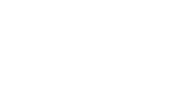 Bisetka